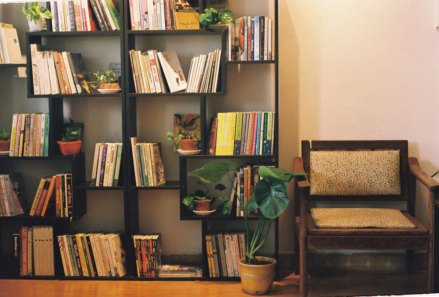 Bookcase with books, baskets and plants